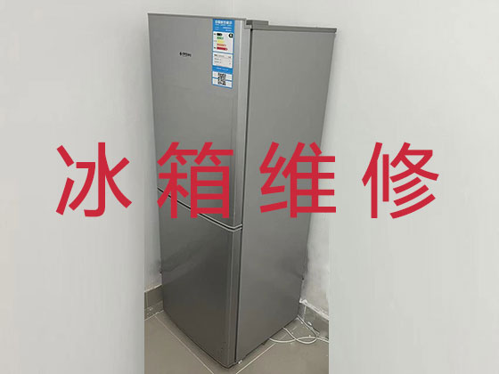 台州冰箱维修服务